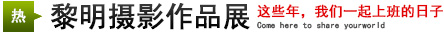攝影展：這些年，我們一起上班的日子